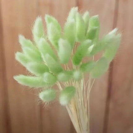 Boho Chic Dried Bunny Tail Floral Arrangement - Elegant Rustic Home Accent - Très Elite
