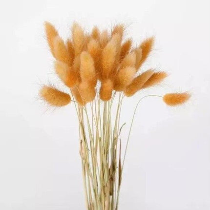 Boho Chic Dried Bunny Tail Floral Arrangement - Elegant Rustic Home Accent - Très Elite