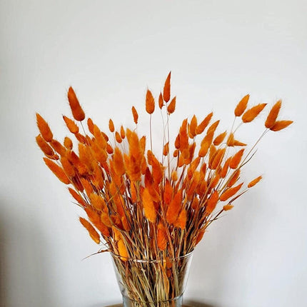 Boho Chic Dried Bunny Tail Floral Arrangement - Elegant Rustic Home Accent - Très Elite