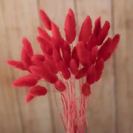 Boho Chic Dried Bunny Tail Floral Arrangement - Elegant Rustic Home Accent - Très Elite