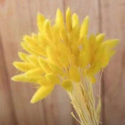 Boho Chic Dried Bunny Tail Floral Arrangement - Elegant Rustic Home Accent - Très Elite