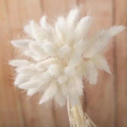 Boho Chic Dried Bunny Tail Floral Arrangement - Elegant Rustic Home Accent - Très Elite