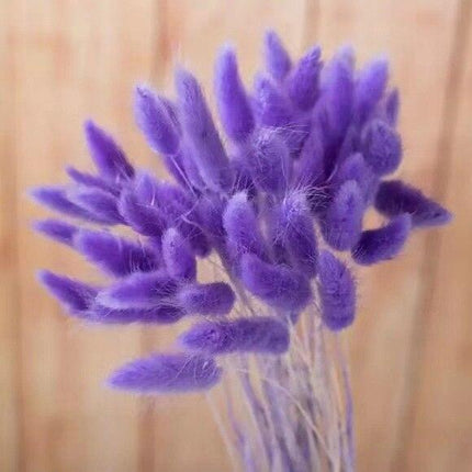 Boho Chic Dried Bunny Tail Floral Arrangement - Elegant Rustic Home Accent - Très Elite
