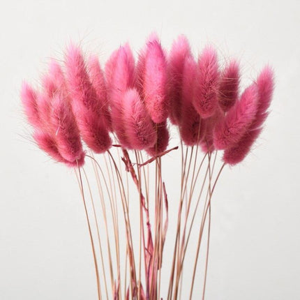 Boho Chic Dried Bunny Tail Floral Arrangement - Elegant Rustic Home Accent - Très Elite