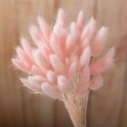 Boho Chic Dried Bunny Tail Floral Arrangement - Elegant Rustic Home Accent - Très Elite