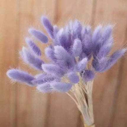 Boho Chic Dried Bunny Tail Floral Arrangement - Elegant Rustic Home Accent - Très Elite