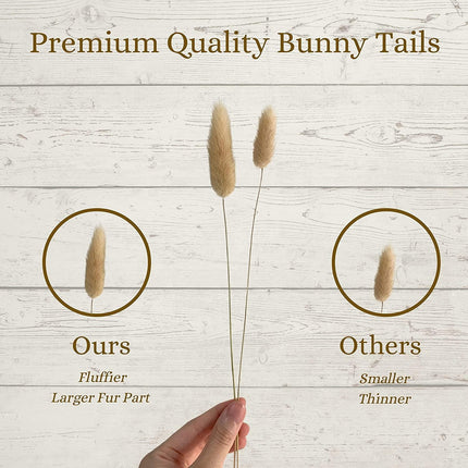 Boho Chic Dried Bunny Tail Floral Arrangement - Elegant Rustic Home Accent - Très Elite