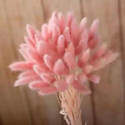 Boho Chic Dried Bunny Tail Floral Arrangement - Elegant Rustic Home Accent - Très Elite