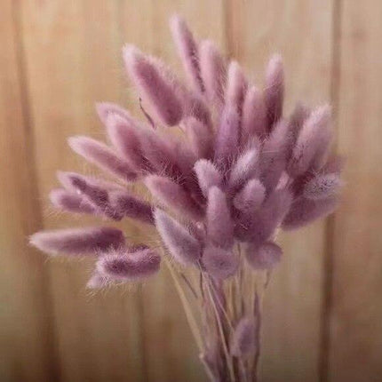 Boho Chic Dried Bunny Tail Floral Arrangement - Elegant Rustic Home Accent - Très Elite