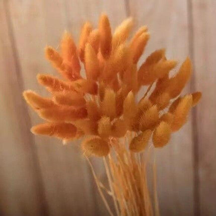 Boho Chic Dried Bunny Tail Floral Arrangement - Elegant Rustic Home Accent - Très Elite
