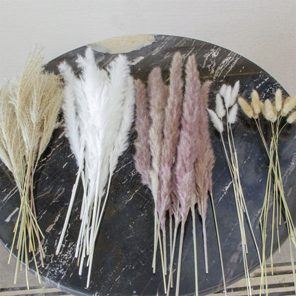 Boho Chic Dried Pampas Grass Bouquet - Versatile Decor for Every Occasion - Très Elite