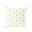 11-45X45Cushioncover