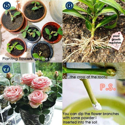 Bonsai Growth Catalyst: Root Strengthener & Flower Booster - Très Elite