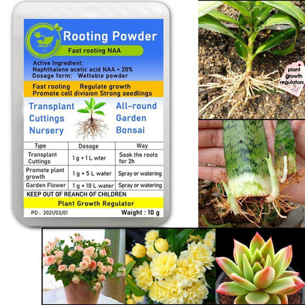 Bonsai Growth Catalyst: Root Strengthener & Flower Booster - Très Elite