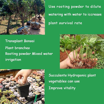 Bonsai Growth Catalyst: Root Strengthener & Flower Booster - Très Elite