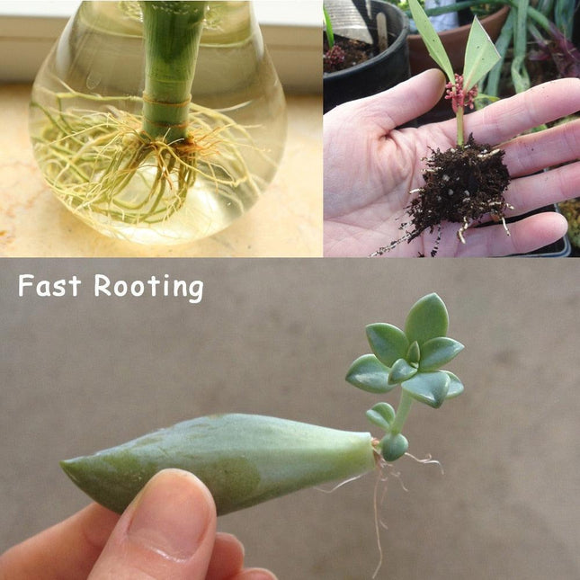 Bonsai Growth Catalyst: Root Strengthener & Flower Booster