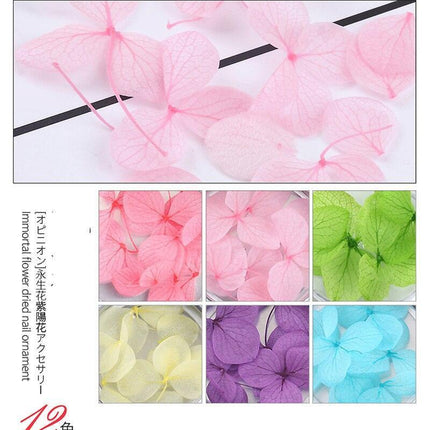 Botanical Elegance Nail Art Kit: Authentic Dried Flower Decoration Collection.