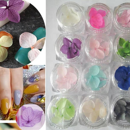 Botanical Elegance Nail Art Kit: Authentic Dried Flower Decoration Collection.