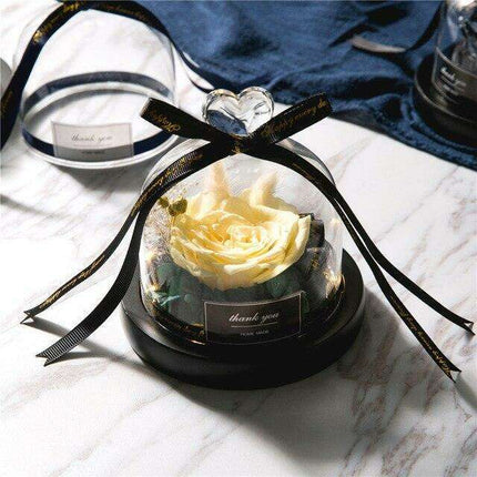 Captivating Glass Rose Lamp in Elegant Dome - A Cherished Emblem of Love. captivating-glass-rose-lamp-in-elegant-dome-a-cherished-emblem-of-love Gifts›Plants, Trees & Flowers›Immortal & Preserved›Flower Dome