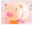 pig
