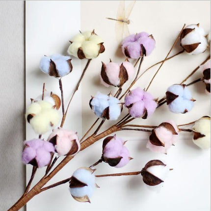 Charming Dried Cotton Flower Arrangement - A Touch of Nature for Home and Weddings