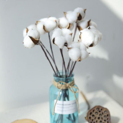 Charming Dried Cotton Flower Arrangement - A Touch of Nature for Home and Weddings