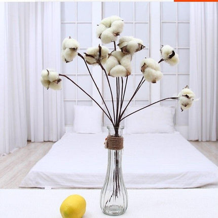 Charming Dried Cotton Flower Arrangement - A Touch of Nature for Home and Weddings