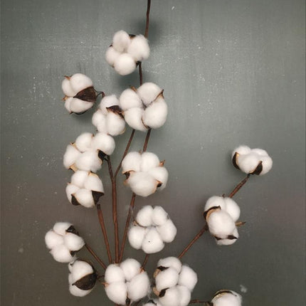 Charming Dried Cotton Flower Arrangement - A Touch of Nature for Home and Weddings