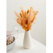 YMX00806 / NO VASE