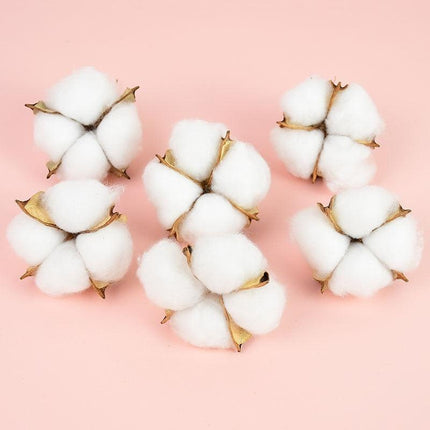 Charming White Cotton Dried Flower Bundle for Weddings and Home Styling - Très Elite