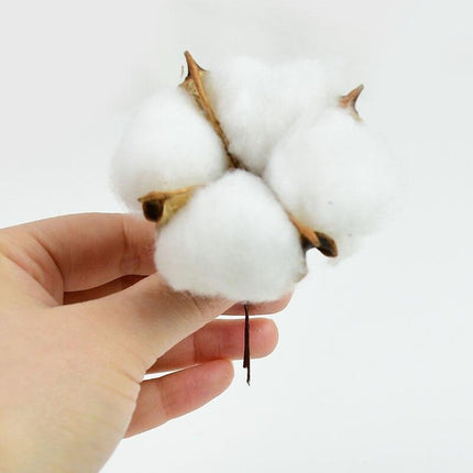 Charming White Cotton Dried Flower Bundle for Weddings and Home Styling - Très Elite