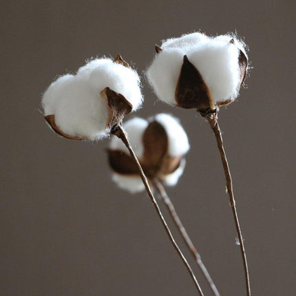 Charming White Cotton Floral Branches Set - Perfect for Rustic Farmhouse Decor - Très Elite