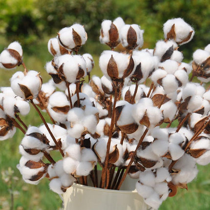 Charming White Cotton Floral Branches Set - Perfect for Rustic Farmhouse Decor - Très Elite