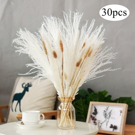Chic 30-Piece Natural Dried Pampas Grass Rabbit Tail Bundle for Stylish Home Decor - Très Elite