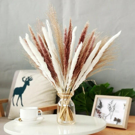 Chic 30-Piece Natural Dried Pampas Grass Rabbit Tail Bundle for Stylish Home Decor - Très Elite