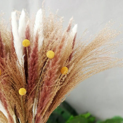 Chic 30-Piece Natural Dried Pampas Grass Rabbit Tail Bundle for Stylish Home Decor - Très Elite