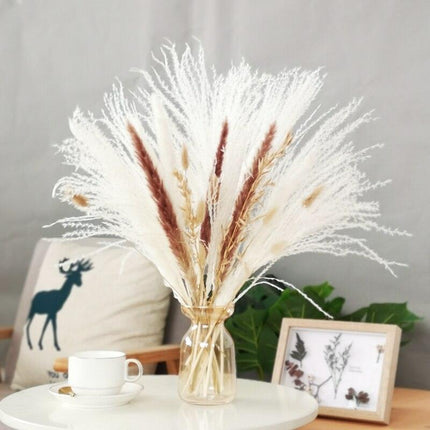 Chic 30-Piece Natural Dried Pampas Grass Rabbit Tail Bundle for Stylish Home Decor - Très Elite