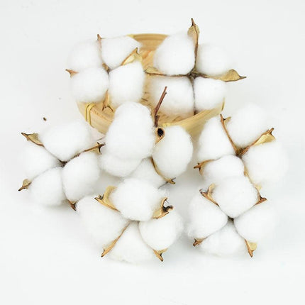 Chic Eucalyptus & Cotton Floral Decor Ensemble - 14 Piece Home Accent Set