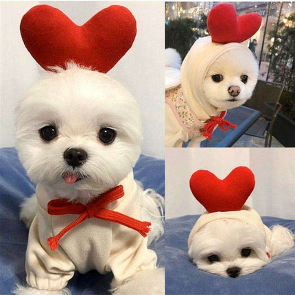 Chic Hooded Winter Jacket for Small Dogs - Fashionable Warmth for Tiny Tails - Très Elite