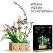 with box Gladiolus