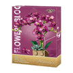 With box Rose red