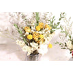 02 / No vase