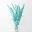 A blue