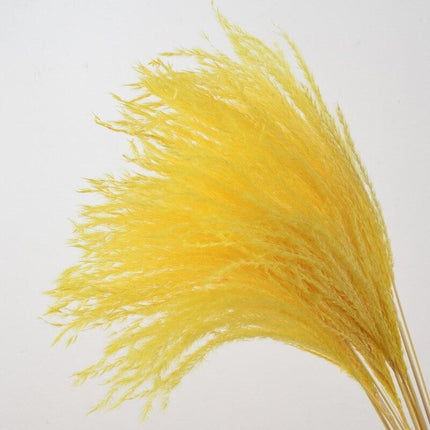 Dried Pampas Grass Bouquet - Elegant Rustic Decor for Homes and Weddings - Très Elite