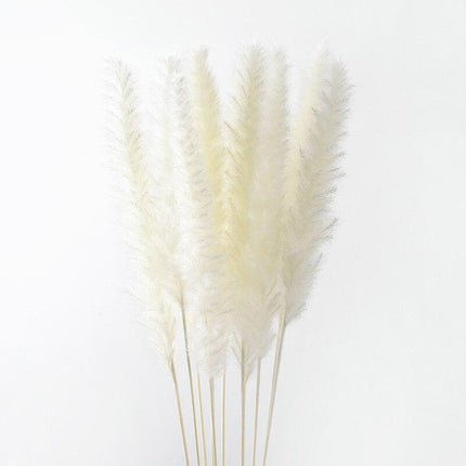 Dried Pampas Grass Bouquet - Elegant Rustic Decor for Homes and Weddings - Très Elite
