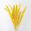A yellow