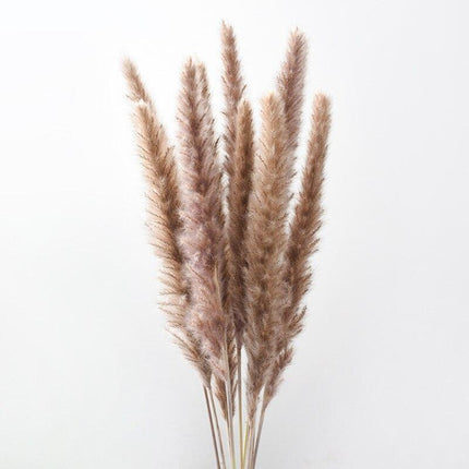 Dried Pampas Grass Bouquet - Elegant Rustic Decor for Homes and Weddings - Très Elite