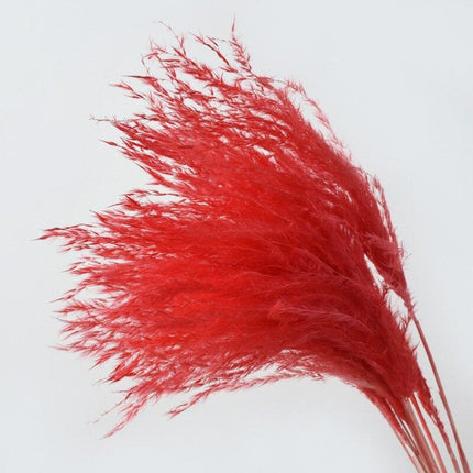 Dried Pampas Grass Bouquet - Elegant Rustic Decor for Homes and Weddings - Très Elite