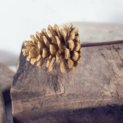 Dried Pine Cone and Floral Arrangement for Chic Nordic Home Styling - Seasonal Festive Decor - Très Elite