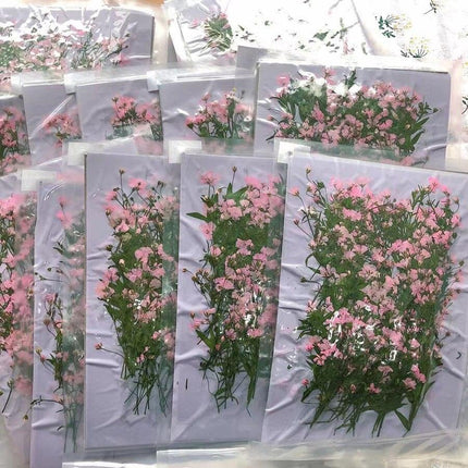 Dried Pink Gypsophila Flower Bundle - 250 Pressed Pieces for Crafting - Très Elite